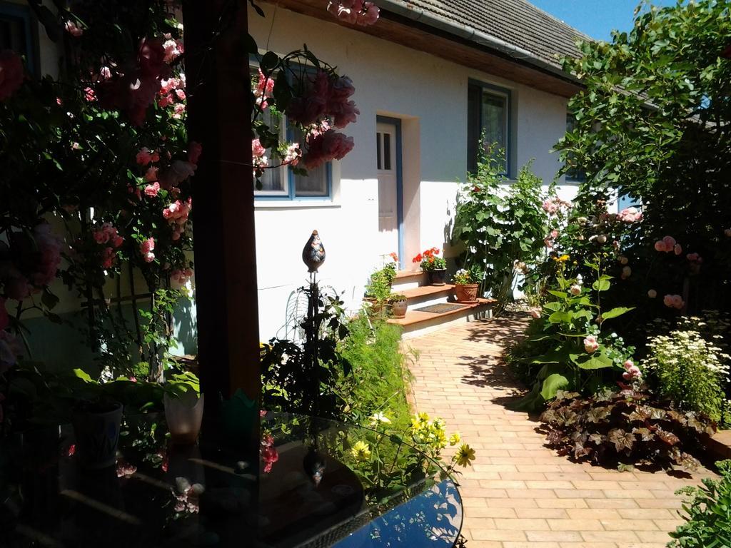 Stieglerhof Kg -Apartments Illmitz- ภายนอก รูปภาพ